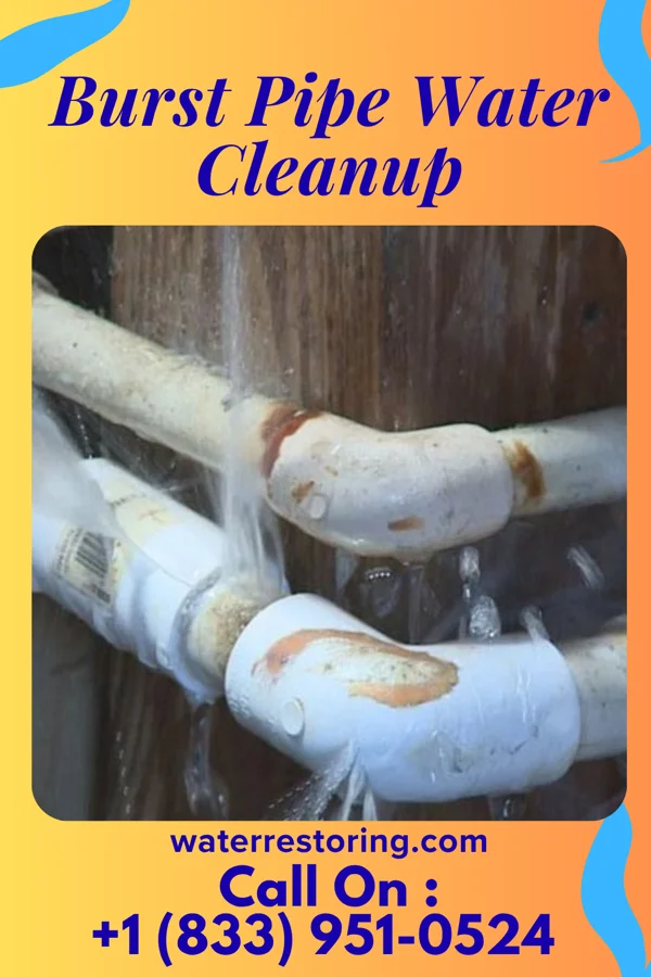 Burst Pipe Water Cleanup in Point Marion, PA