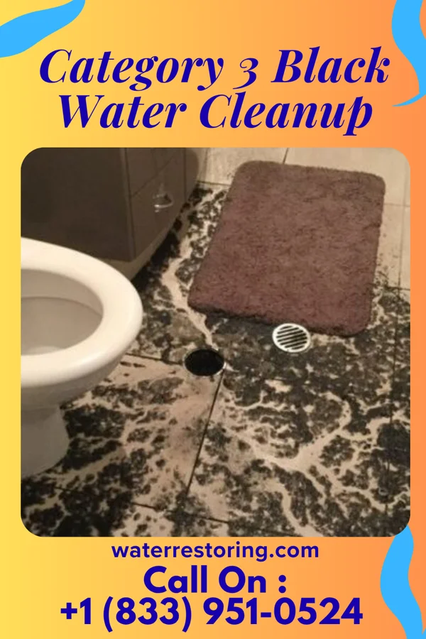 Category 3 Black Water Cleanup in Point Marion, PA