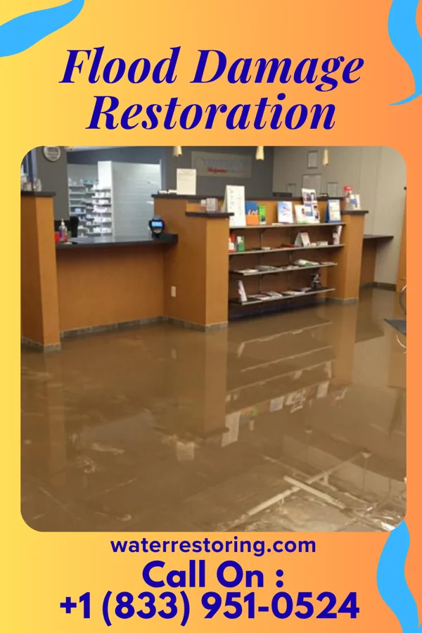 Flood Damage Restoration in Point Marion, PA