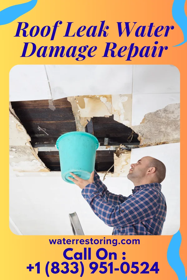 Roof Leak Water Damage Repair in Point Marion, PA