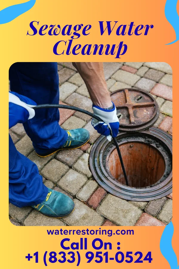 Sewage Water Cleanup in Point Marion, PA