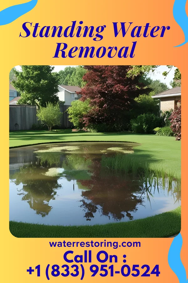 Standing Water Removal in Point Marion, PA